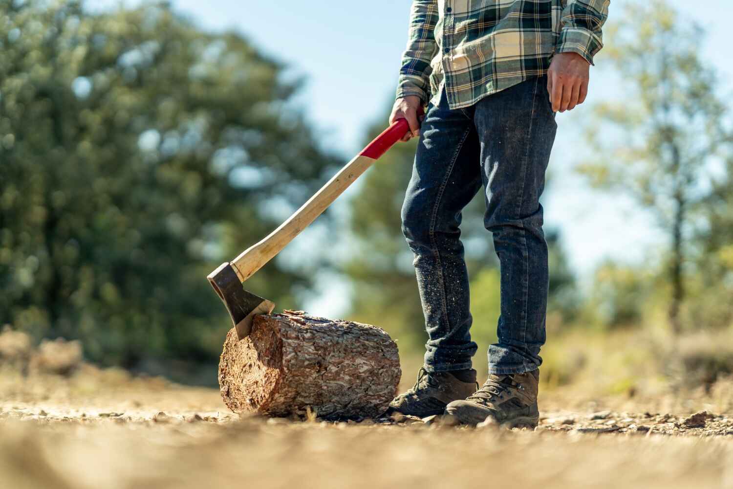 Dead Tree Removal in Arnold, MO